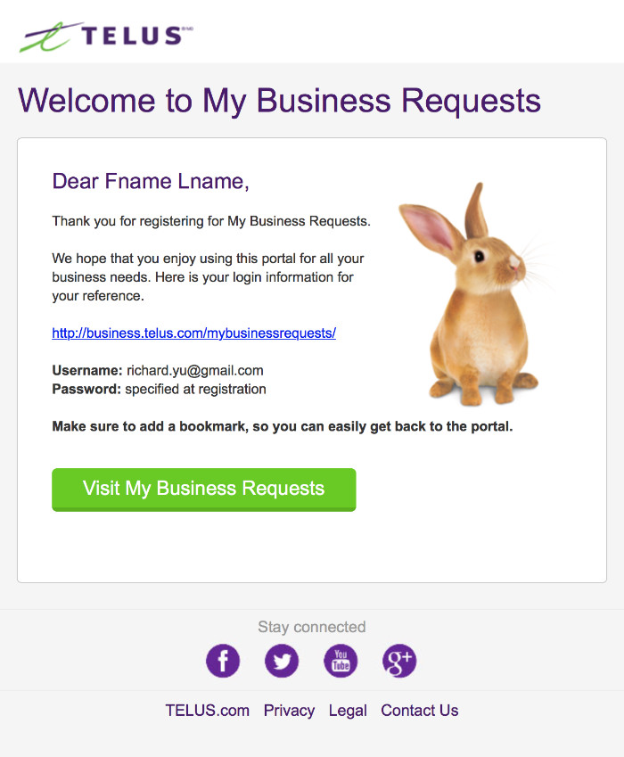 Email Template